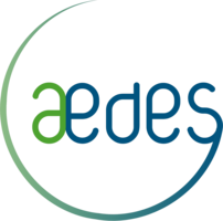 Aedes